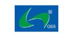 GSS