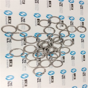 TRUARC SHI-62  5108-0062 ize_industries 古怪猴子试玩官网入口工业 (5).JPG