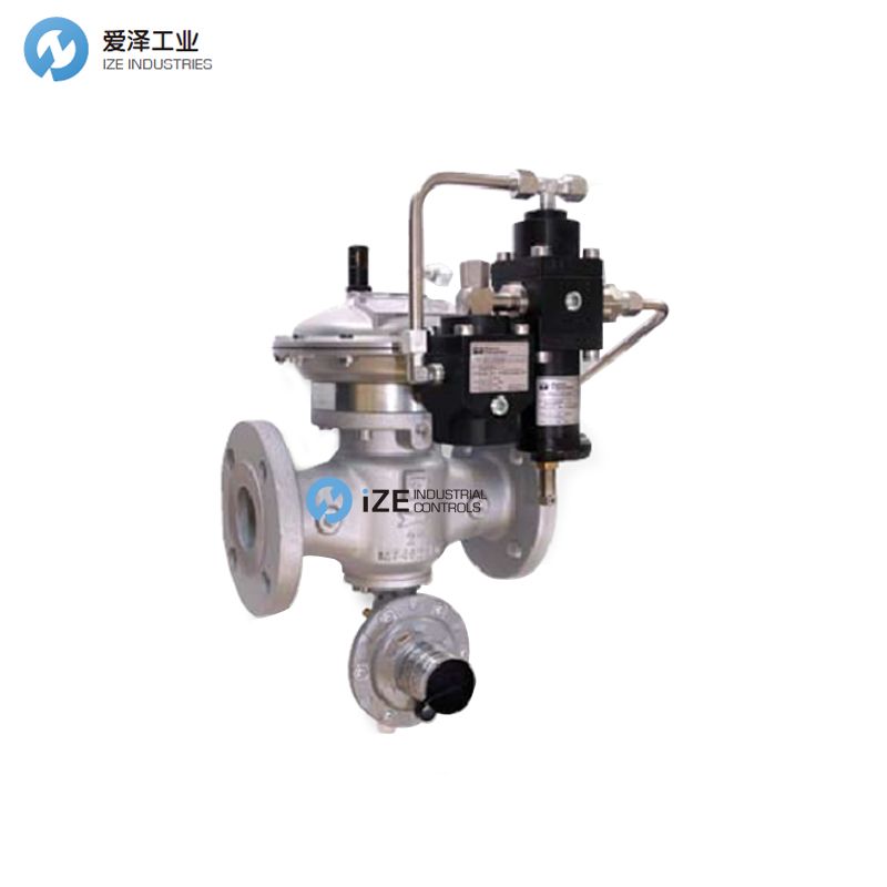 FIORENTINI 调压阀DIXI25及维修包 izeindustries 古怪猴子试玩官网入口工业.jpg