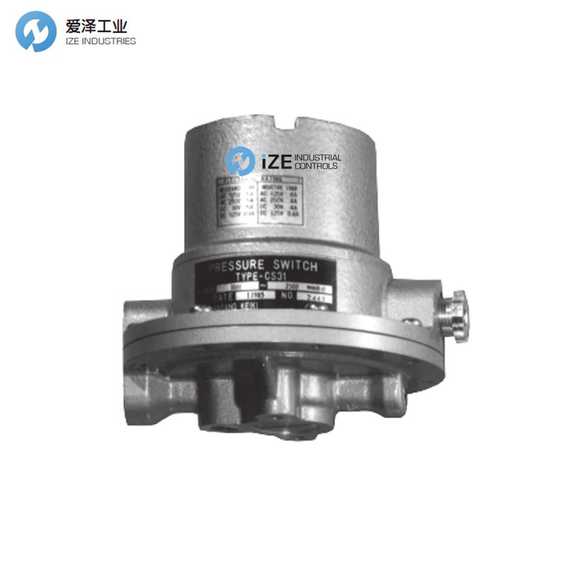长野计器 压力开关CS31  izeindustries 古怪猴子试玩官网入口工业.jpg