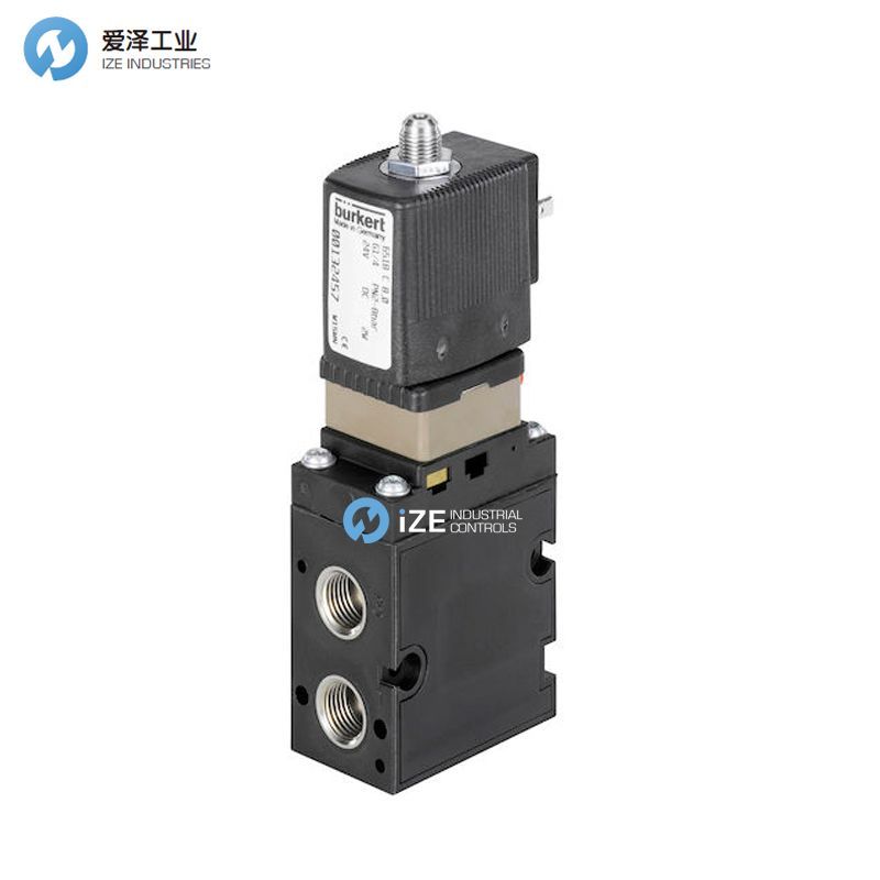 burkert 6518 izeindustries 古怪猴子试玩官网入口工业.jpg