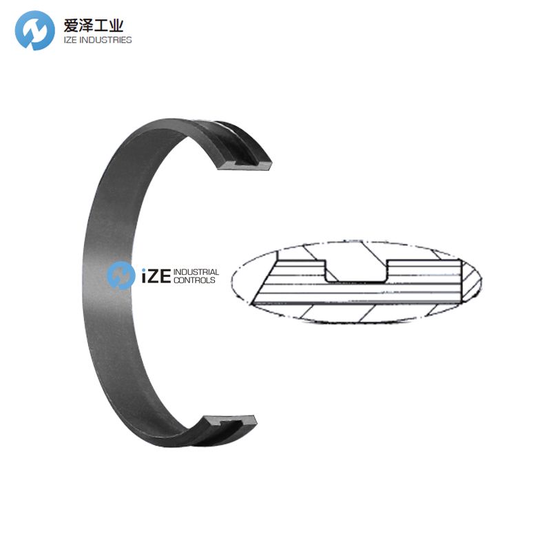 HUNGER轴封FAI系列 示例FAI70_24 011928 izeindustries 古怪猴子试玩官网入口工业.jpg