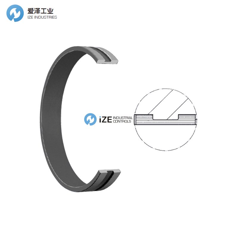 HUNGER轴封FI系列 示例FI90_24 012036 izeindustries 古怪猴子试玩官网入口工业.jpg