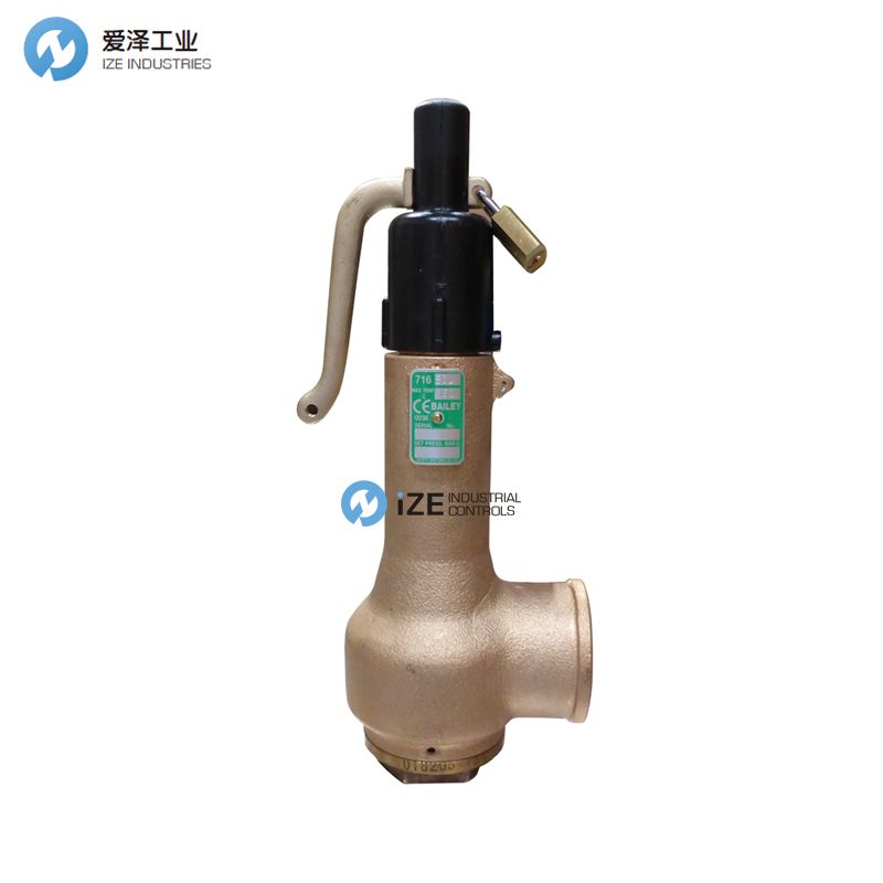 BAILEY 716VSD 古怪猴子试玩官网入口工业 izeindustries.jpg