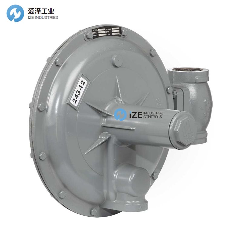 SENSUS调压阀243-8-2 古怪猴子试玩官网入口工业izeindustries (2).jpg