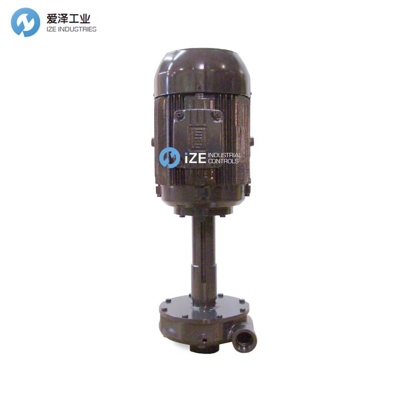 GUSHER垂直泵11031NS-B古怪猴子试玩官网入口工业 izeindustries.jpg