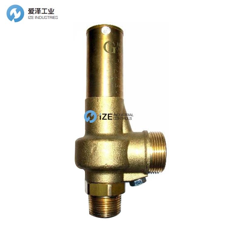 NUOVA GENERAL安全阀G25系列 古怪猴子试玩官网入口工业izeindustries.jpg