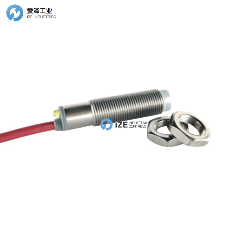 RECHNER IAS-10-A22-S-M12-PTFEVAb-100C-Z02-0 izeindustrialcontrols 古怪猴子试玩官网入口工业.jpg