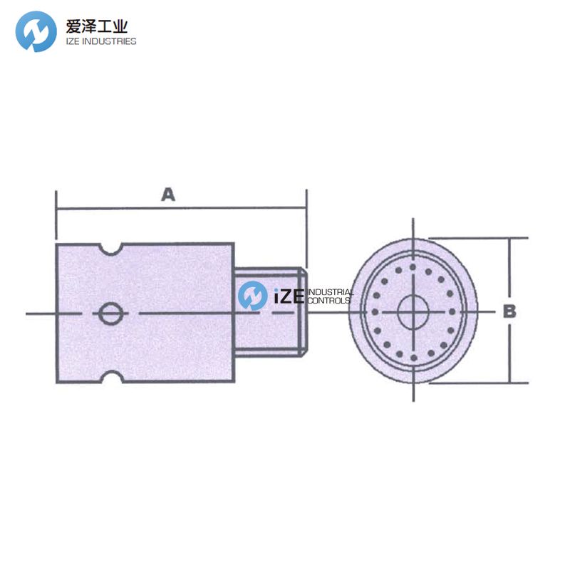 BFT燃烧器BB250系列 古怪猴子试玩官网入口工业 izeindustrialcontrols.jpg