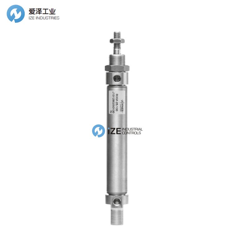 JOYNER气缸RIMX REIMX RIMBX16-25 古怪猴子试玩官网入口工业 izeindustrialcontrols.jpg