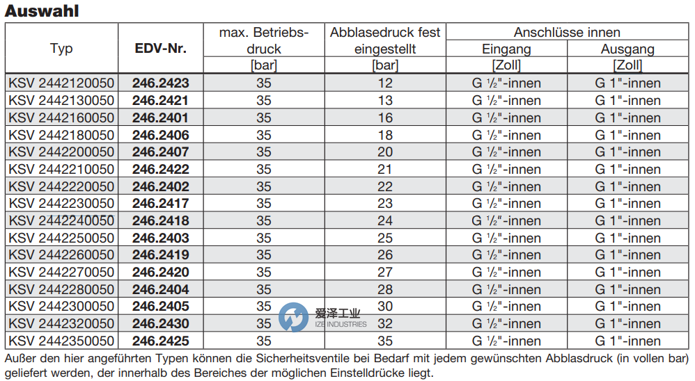HANSA安全阀KSV系列 古怪猴子试玩官网入口工业ize-industries (2).png
