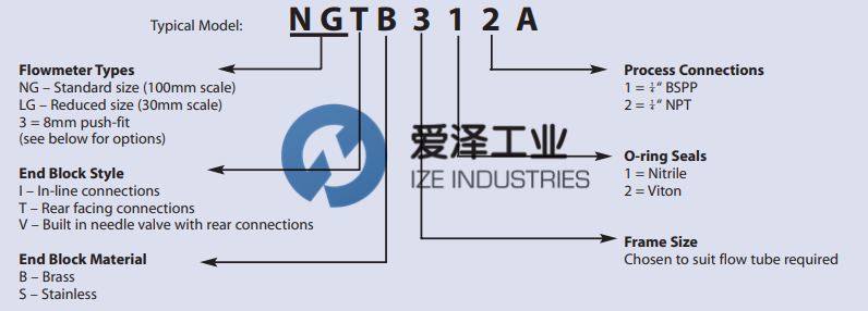 PLATON-流量计NG系列 古怪猴子试玩官网入口工业 izeindustries (2).png