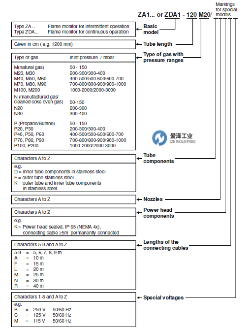 HEGWEIN火焰检测器AZ1系列 古怪猴子试玩官网入口工业 izeindustries（1）.png