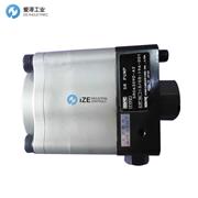 SR气动泵SR06309D-A2