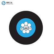 KONGSBERG光纤电缆3010