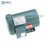 LEESON电机C系列C145T34FB33C