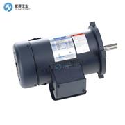 LEESON直流电机C系列C42D17FK3C 098003.00