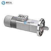 MINI MOTOR电机PAE系列 示例PAE260M2T