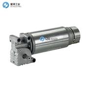 AMER电机AOMPI25系列