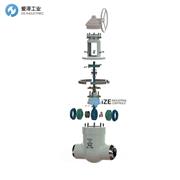 RAC闸阀DN50 2500LB GA2502105RJ