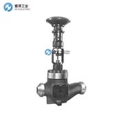 FISHER控制阀维修包EHD/EHT 示例29A9223X012