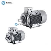 SIEMENS电机1LE系列 示例1LE1003-0EB02-1FB4-Z