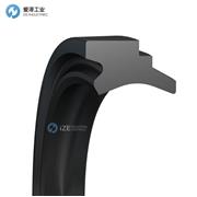 BUSAK+SHAMBAN(B+S)防尘封WD1702200-N9