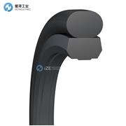 BUSAK+SHAMBAN(B+S)格莱圈TG5201250-Z80V