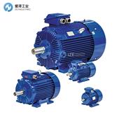 BEVI电机3SIELN 100L-4B