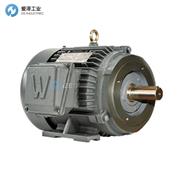 WORLDWIDE ELECTRIC电机PEWWE2-18-145TC