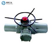 GIANT TORK控制板MBKMD-10用于执行器GEKMD10