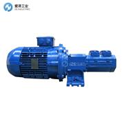 AZCUE螺杆泵BT-HM38D4-F
