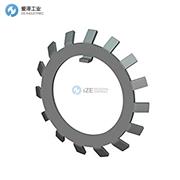 WHITTET-HIGGINS锁紧垫圈W-24
