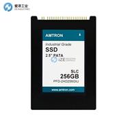 AMTRON PATA固态硬盘PFD-2AC008GMY