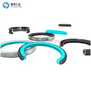 TRELLEBORG格莱圈TG3100360-T10N