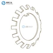 WHITTET HIGGINS锁紧垫圈W-10