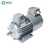 HEW电机RDMF160L/120THZFR-PrB28H