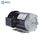 MARATHON电机FX32BK004