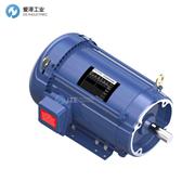 MARATHON电机213TTFBD6028