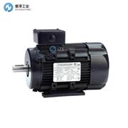 MARATHON电机090LT17FH6326