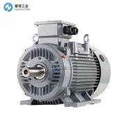 HONEYWELL电机HME3-100LA2-GS