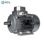 BONORA电机3CR132SBS/2