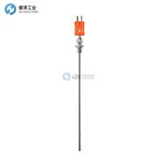 GUENTHER热电偶20-20108799-45