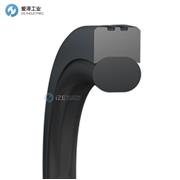 TRELLEBORG格莱圈TG4301700-T40N