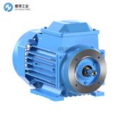 ABB电机M3GP160MLA6